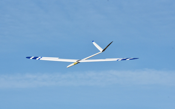 Radio sales controlled gliders